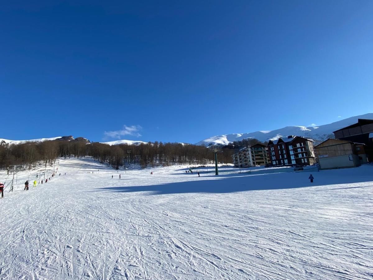 Апарт-отели Snow Pine Suite - 4 Star Resort Бакуриани