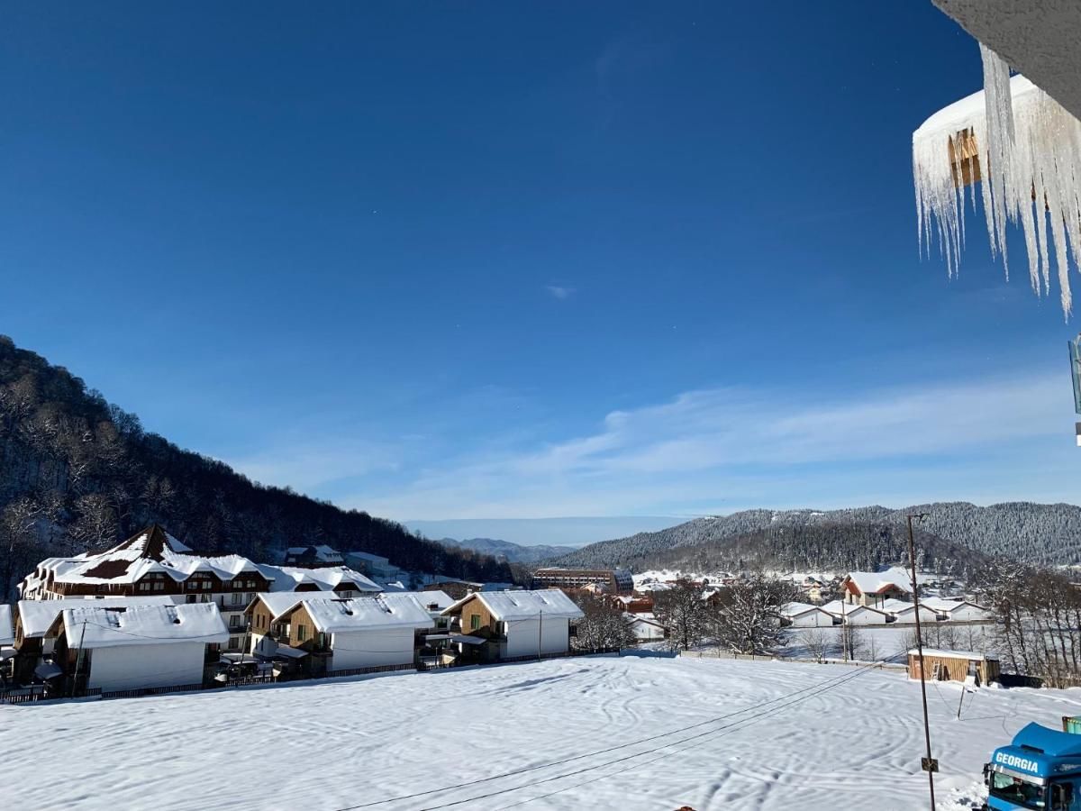 Апарт-отели Snow Pine Suite - 4 Star Resort Бакуриани