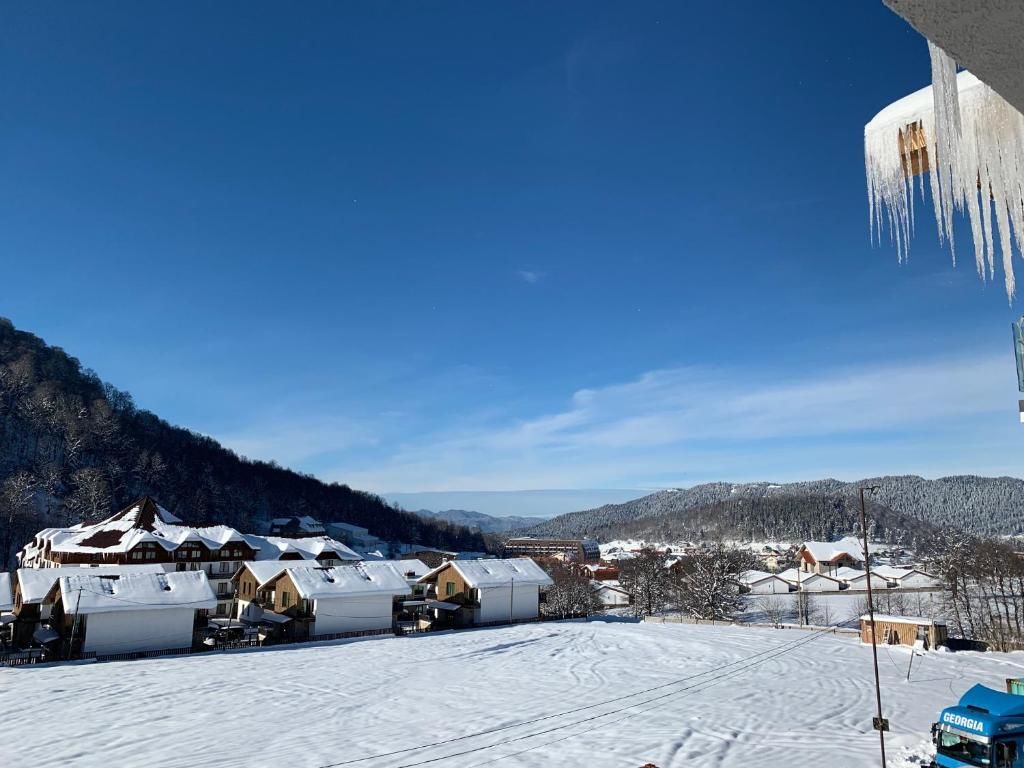 Апарт-отели Snow Pine Suite - 4 Star Resort Бакуриани