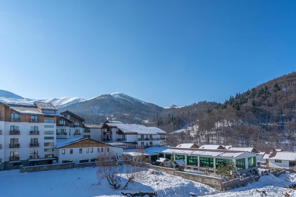 Апарт-отели Snow Pine Suite - 4 Star Resort Бакуриани